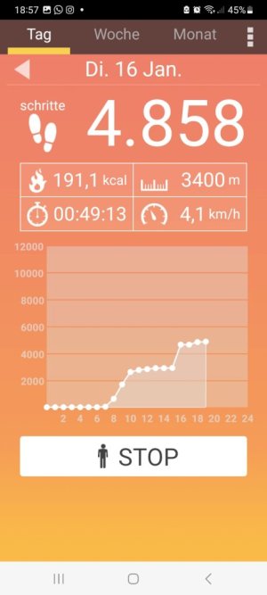 Screenshot_20240116_185737_Pedometer.jpg