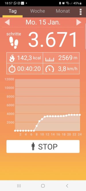 Screenshot_20240116_185731_Pedometer.jpg