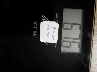 20240209_091219.webp