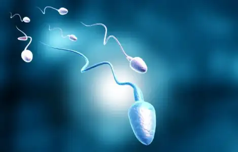 sperm_yikama_islemi_nasil_yapilir.webp