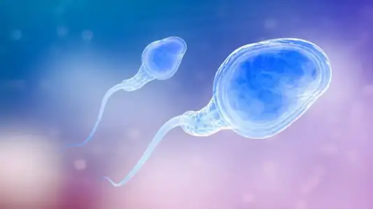 sperm_yikama_nedir_tup_bebek.webp