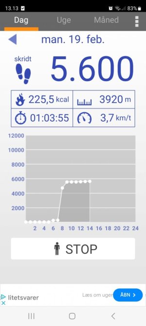 Screenshot_20240219_131352_Pedometer.jpg