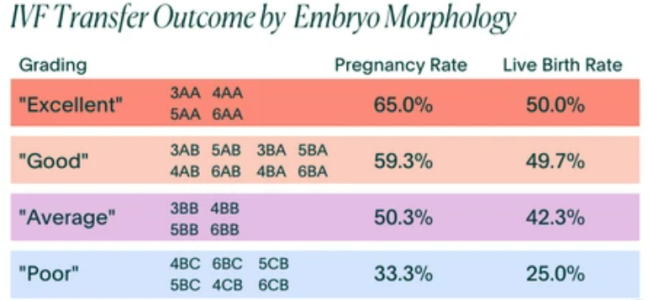 embryo+grading+and+transfer.PNG