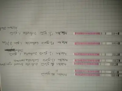 IMG20240511175144.webp