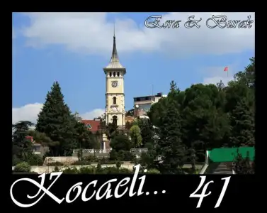 $41 KOCAEL&#304;.webp