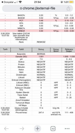 56AC9FE2-0AA5-49FA-A1D3-4D27DC32B462.png