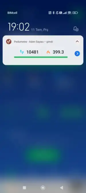 Screenshot_2024-07-11-19-02-59-619_pedometer.steptracker.calorieburner.stepcounter.webp