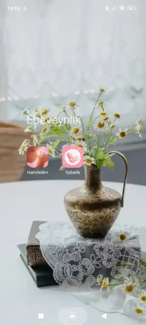 Screenshot_2024-10-09-19-43-10-021_com.miui.home.webp