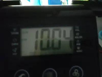 1000027651.webp