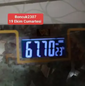 1000027778.webp