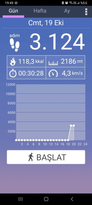 Screenshot_20241019-194928_Pedometer.jpg