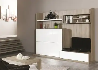 $termera-tv-unitesi-0fb8cb7d77234e429cb8ed1600b7e9ea.webp
