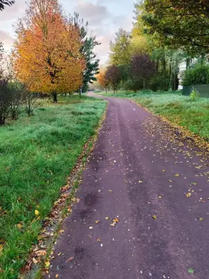 1000044892.webp