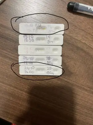 E9D800ED-F71D-4A22-A1E9-DAD26A8FDA20.webp