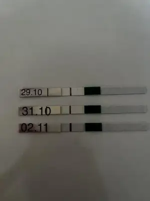 6A7A4E01-3343-4EAC-A84E-A8CE0DA597C1.webp