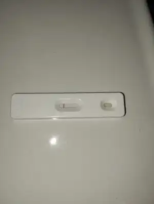 1000002941.webp