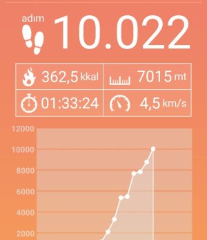 Screenshot_20241204-171842_Pedometer.jpg