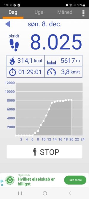 Screenshot_20241208_190835_Pedometer.jpg