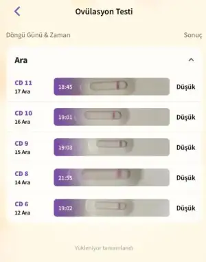 Ekran görüntüsü 2024-12-18 131712.webp