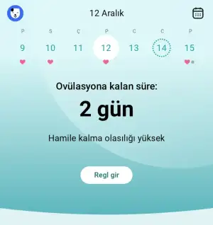 Screenshot_2024-12-26-12-46-24-817_org.iggymedia.periodtracker-edit.webp