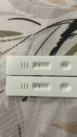 F78F5833-D8EC-4F7D-9C76-9E962A540B2A.webp