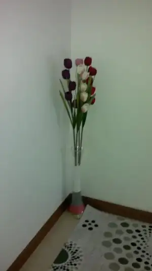 $2012-10-15-305.webp