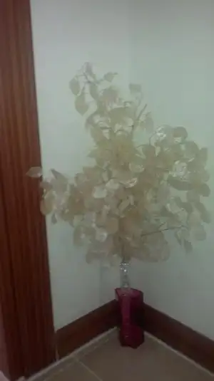 $2012-10-15-267.webp