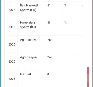 Screenshot_20250407_135145_Chrome.webp