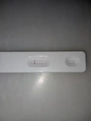 1000089708.webp