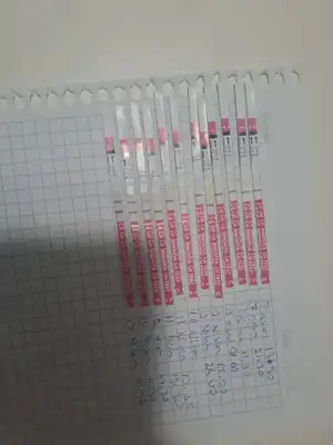 6d004e3b-403e-4ff1-a053-f1e3781eb918.webp
