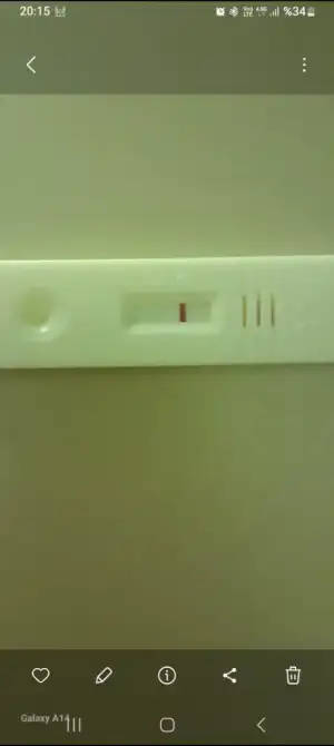 1000145013.webp