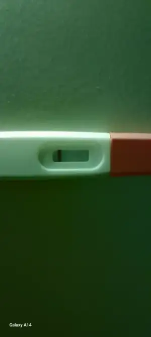 1000145717.webp