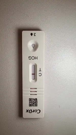 9D2811C2-AD32-426E-9AFE-0700EB68C431.webp