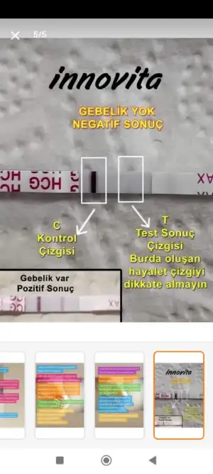 1000051303.webp