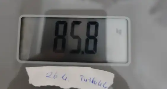 1000078549.webp