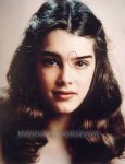 $l-brooke-shields-173d21af.jpg