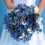 $blue-Bouquet4Princes.jpg