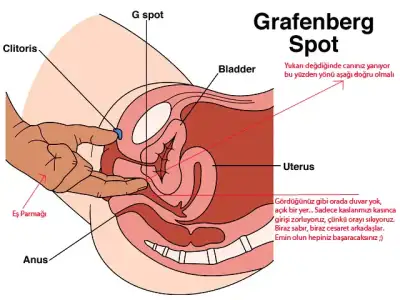 $gspot-2.webp