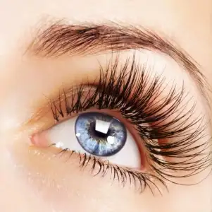 $book-eyelash-extensions-with-kellilash-ready--L-7X49Xb.webp