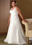 $v-neck-plus-size-wedding-dresses.jpg