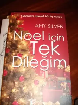 $amy silver noel i&#231;in tek dile&#287;im.jpg