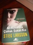 $stieg larsson ar&#305; kovan&#305;na &#231;omak sokan k&#305;z.jpg