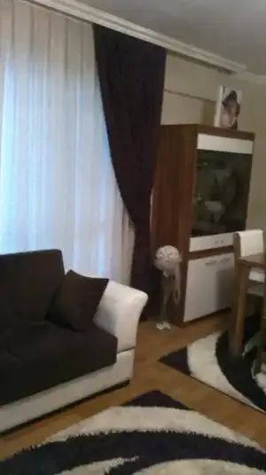 $2013-02-22-0208.webp