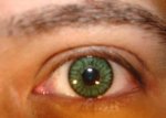 $Soflens Amazon Green.jpg