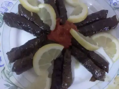 $IMG20130407_074.webp