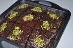 $DSC_1073browni.jpg