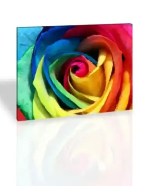 $B11233-renkli-gul.webp
