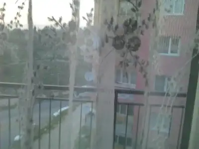 $Foto&#287;raf2621.webp