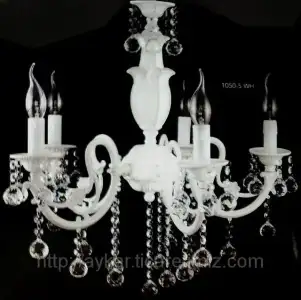 $454076_w640_h640_10505wh.webp