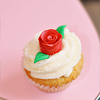 $cupcake48.png